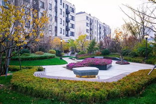 佛山地區(qū)專業(yè)承包園林綠化設計施工 花園養(yǎng)護工程 別墅設計施工