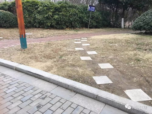 取消園林綠化施工資質(zhì),如何加強園林企業(yè)資質(zhì)管理