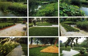 各種綠化、景觀鋪裝工程的設計與施工,園林綠化工程的養護;園林綠化苗木、草皮、花卉的種植,銷售(廣西南寧)_CO土木在線