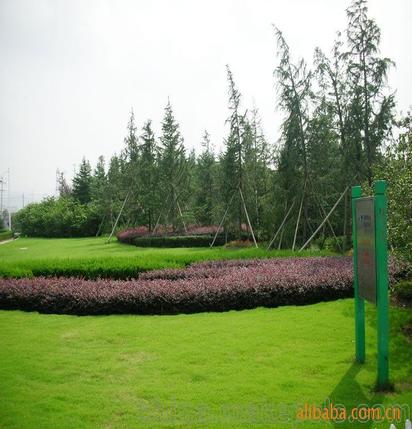 承攬綠化工程、園林施工、園林綠化工程養護