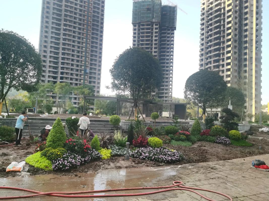 地產(chǎn)項(xiàng)目大門入口節(jié)點(diǎn)花境設(shè)計(jì)施工~#園林綠化工程 #施工現(xiàn)場(chǎng)