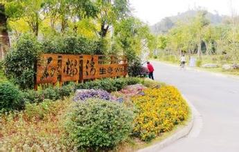 楚雄考個(gè)草坪工證和培訓(xùn)考試知識(shí)流程已公布