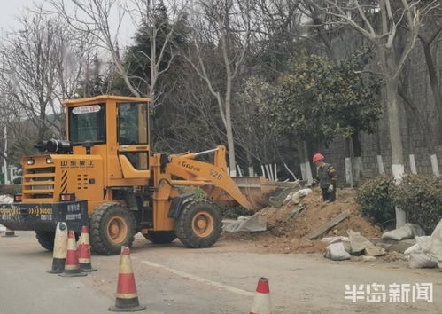 青島市區園林綠化工程有序復工，施工人員忙碌建設美麗家園