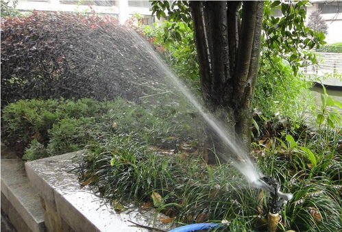 昆明考綠化工證及體育場(chǎng)地設(shè)施工程施工指南 難度、費(fèi)用與準(zhǔn)入解析